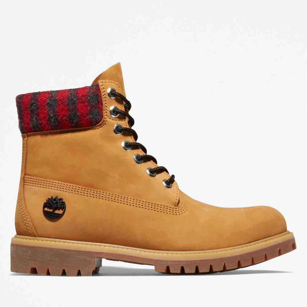 Buty Wodoodporne Męskie Timberland Pro Premium 6 Inch Brązowe | Polska-5967284