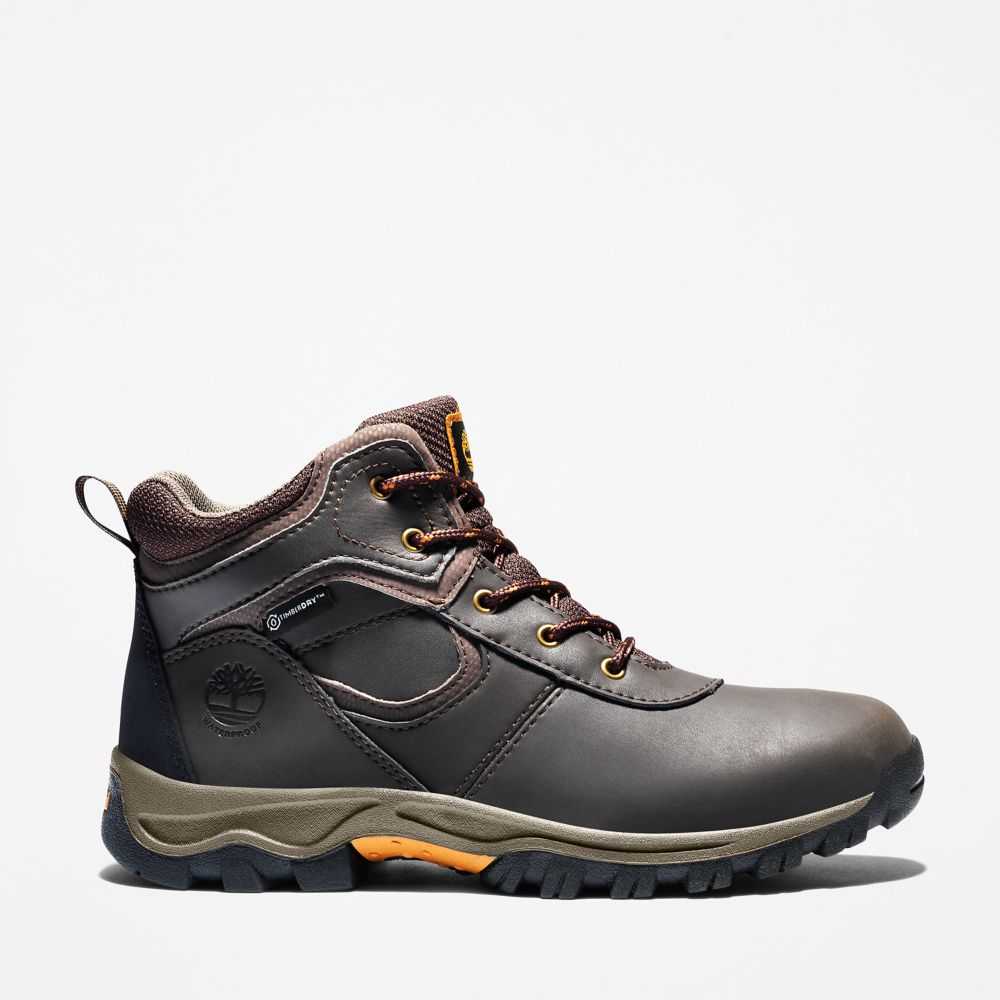 Kozaki Trekkingowe Dziecięce Timberland Pro Mt Maddsen Ciemny Brązowe | Polska-8417532