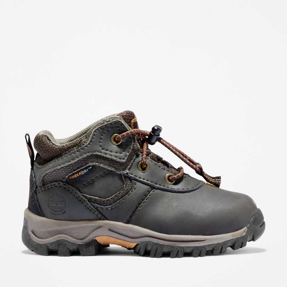 Kozaki Trekkingowe Dziecięce Timberland Pro Mt Maddsen Brązowe | Polska-8961027